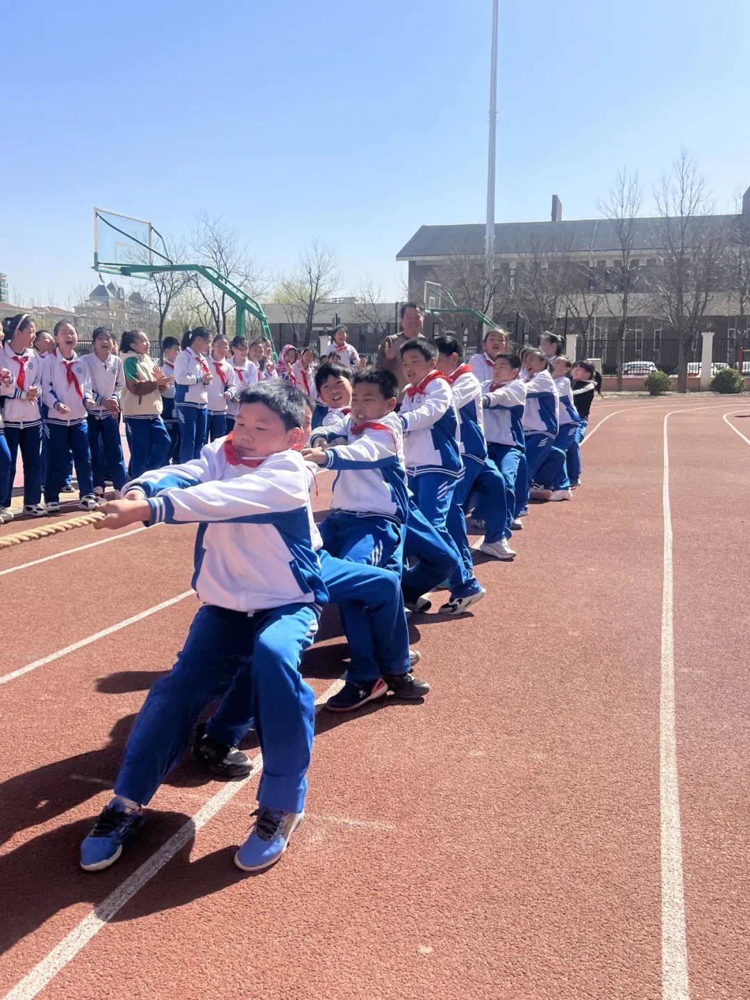 校园大赛活动有哪些内容呢(校园大赛活动有哪些内容呢图片)