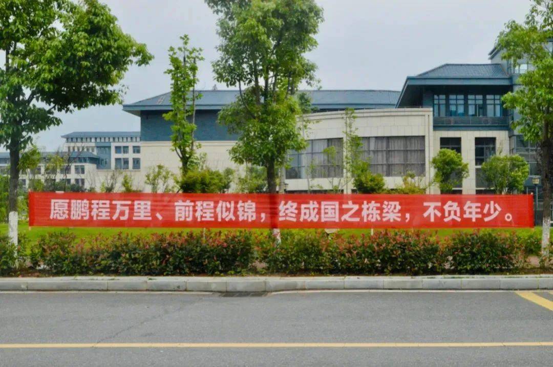 关于往期内容-每日反差大赛的信息