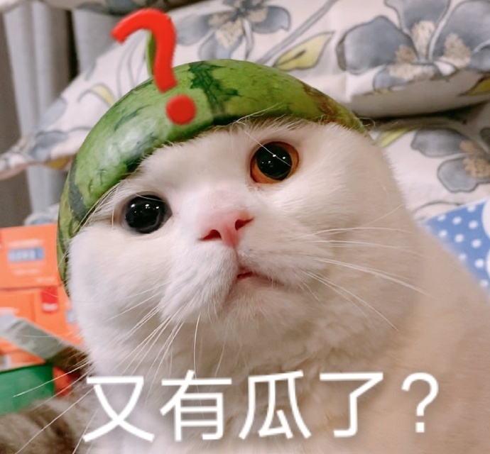 吃瓜人表情包(吃瓜表情emoji) 吃瓜人表情包(吃瓜表情emoji)