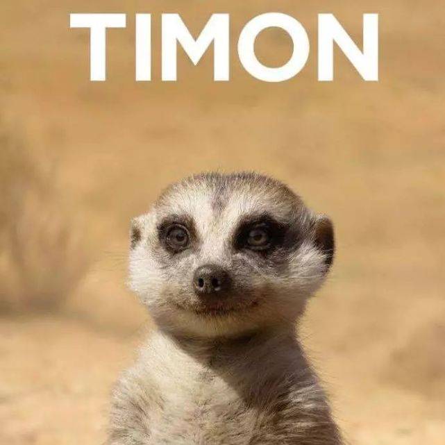 每日大赛校园大赛反差大赛辛巴(每日大赛校园反差大赛全集)