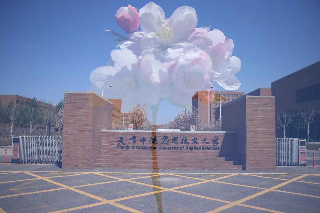 校园大赛今日大赛结果(校园大赛海报) 校园大赛今日大赛结果(校园大赛海报)