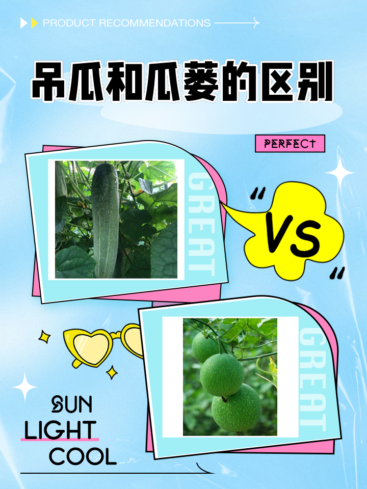 吃瓜是什么意思下一句是什么(网络用语吃瓜是什么意思?)