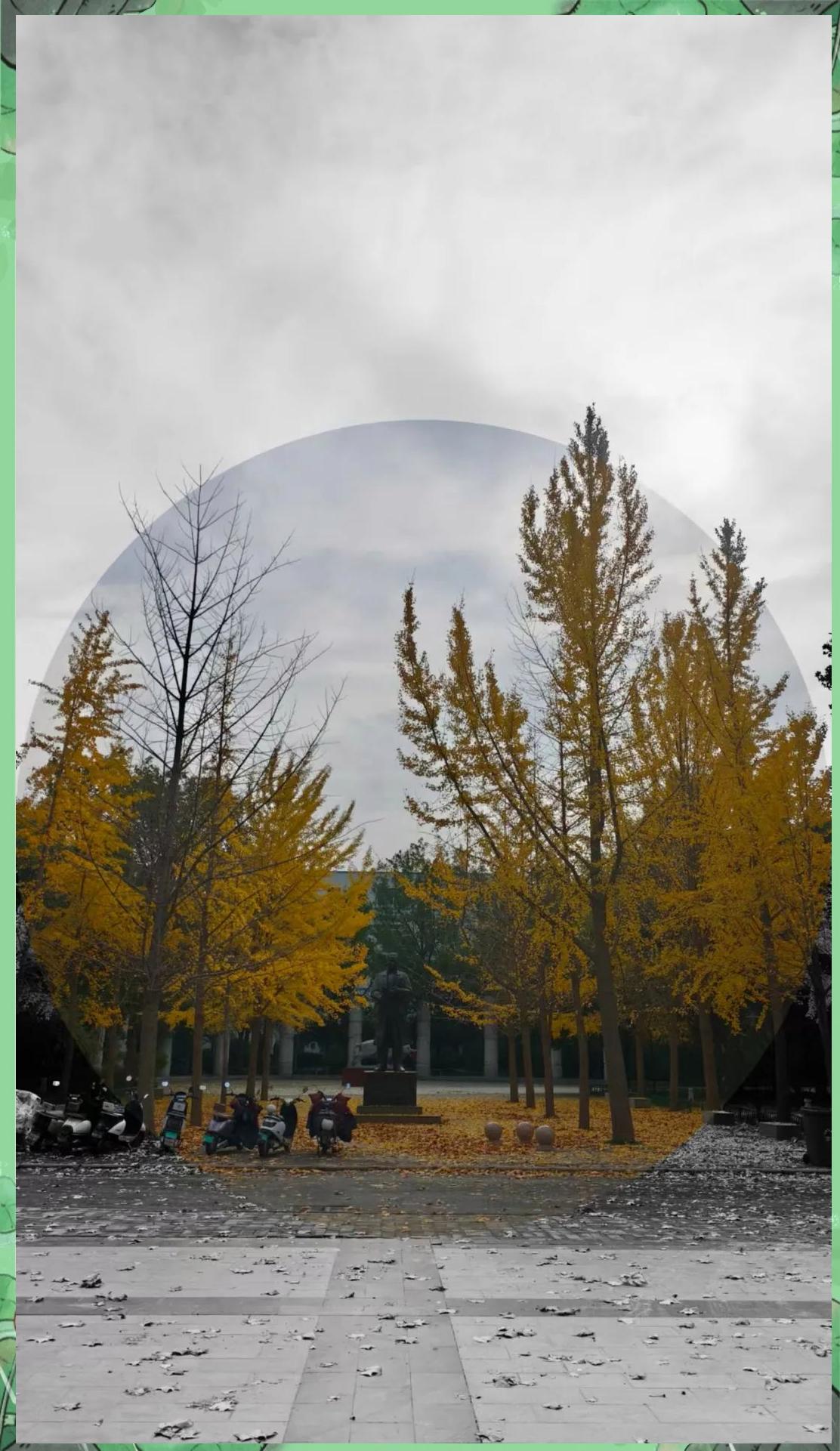 校园大赛反差大赛主题怎么写(校园大赛反差大赛主题怎么写文案)